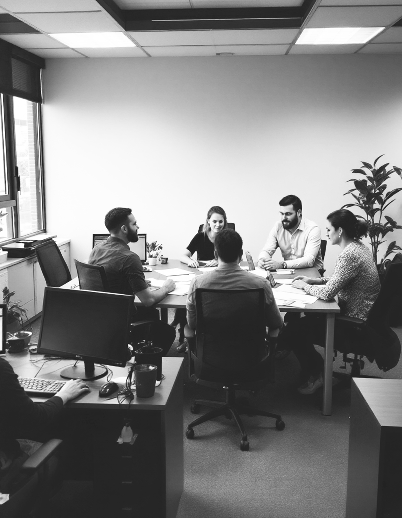 Global brand trademark portfolio monitoring case study
