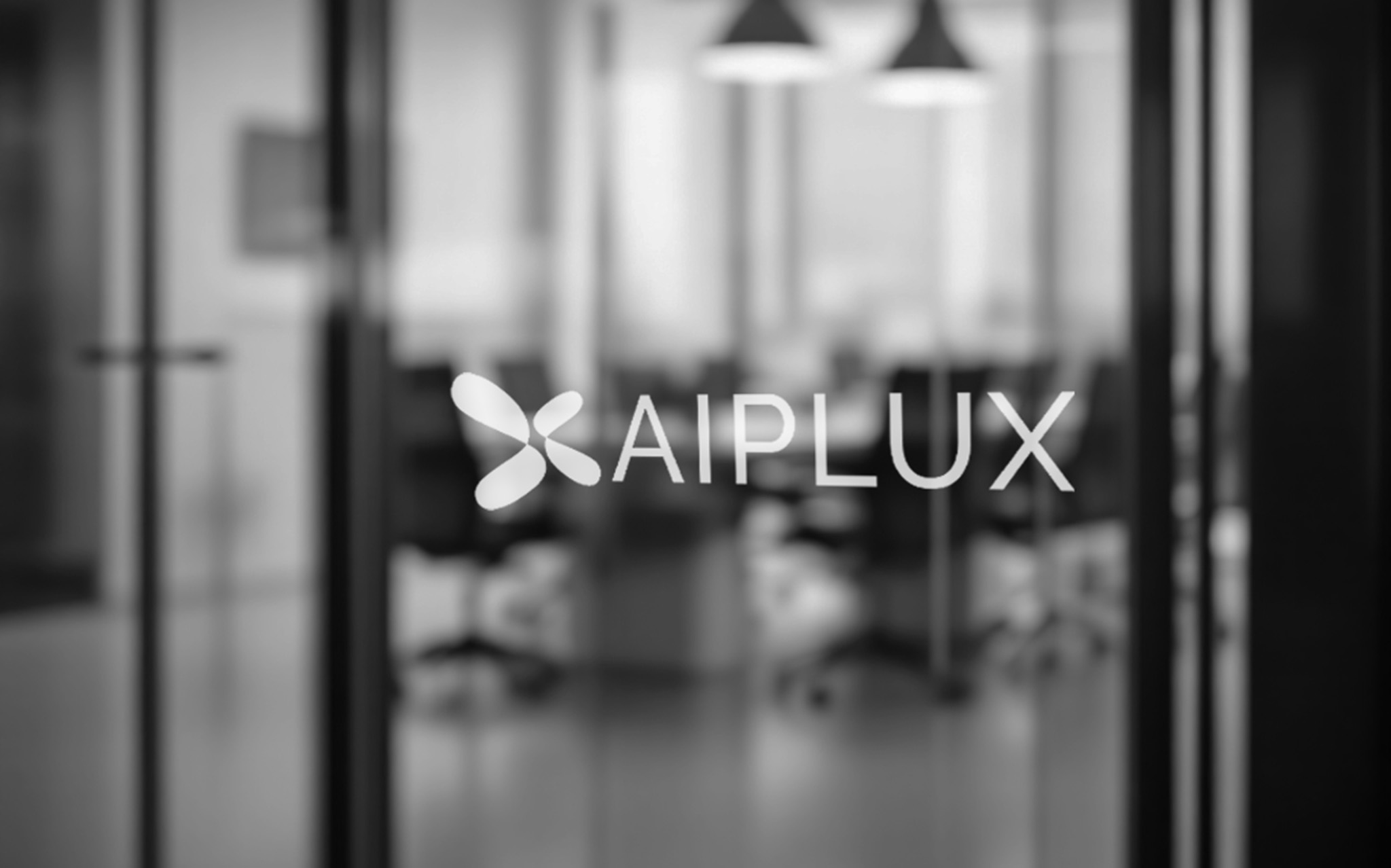 The AIPLUX team at work